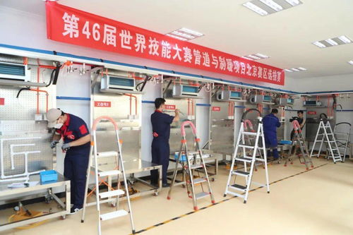 技能成就夢(mèng)想，技能改變?nèi)松本┦谐鞘泄芾砀呒?jí)技術(shù)學(xué)校的育人之路